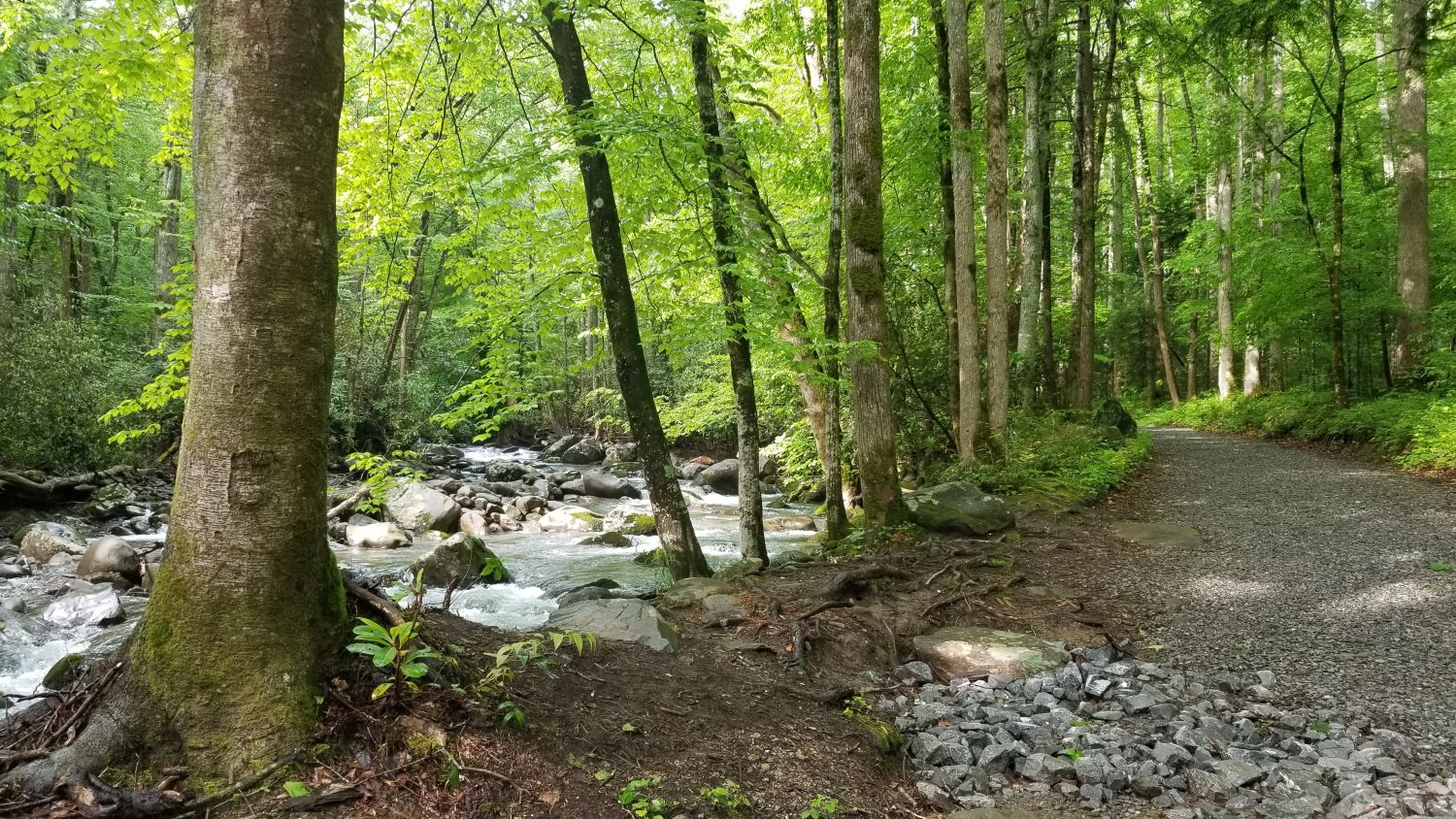 Porters Creek to Fern Falls 